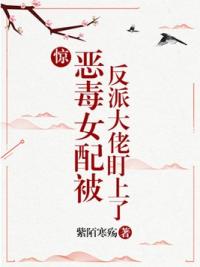 惊!恶毒女配被反派大佬盯上了